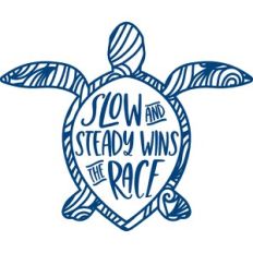 slow and steady wins the race