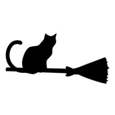Cat on Broom