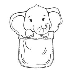 Elephant in a Pocket