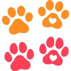 Paws