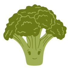 Broccoli