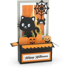 Box Card Window Black Cat
