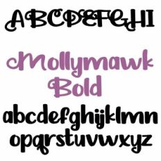 ZP Mollymawk Bold