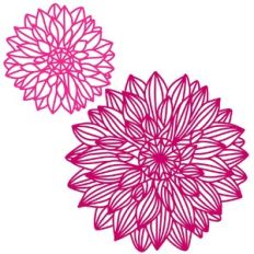 Dahlia Flowers