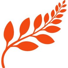 leaf branch