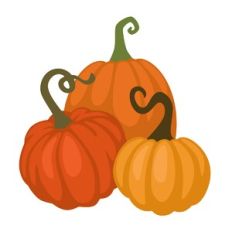 Pumpkin Trio