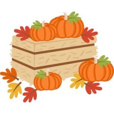 pumpkins on a hay bale