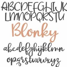 PN Blonky