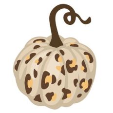 Leopard Pumpkin