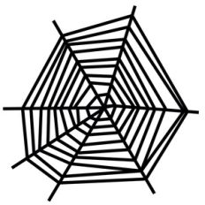 spider web
