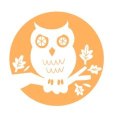 Owl Moon