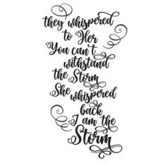 I Am The Storm