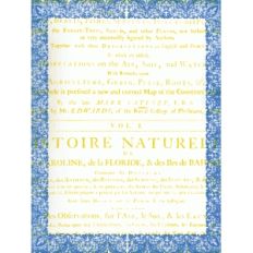 vintage blue notecard