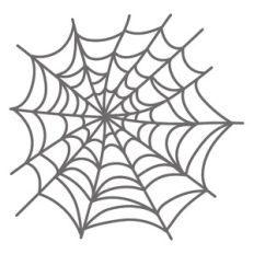 spiderweb