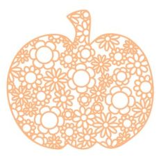 pumpkin flowers