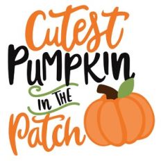 Cutest Pumpkin in the Patch