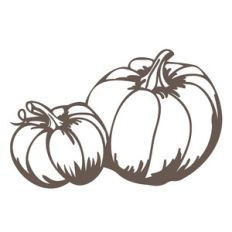 Fall Pumpkins