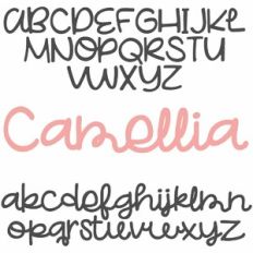 ZP Camellia