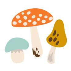 Mushrooms