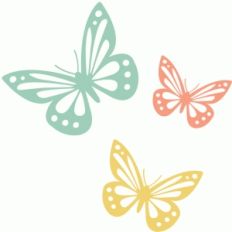 butterflies
