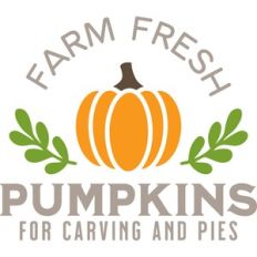 farm fresh pumpkins