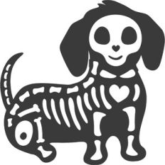Dachshund Dog Skeleton