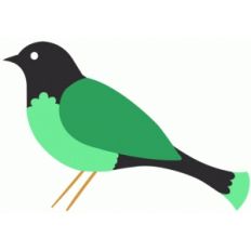 bird