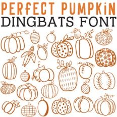CG Perfect Pumpkin Dingbats