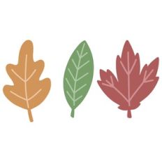 Fall Leaf Trio with Veins