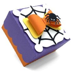 bow tie spider and web box