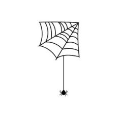 Spiderweb