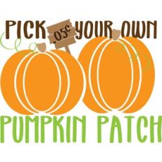 Pumpkin Patch Pick Your Own