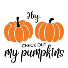 Hey Check Out My Pumpkins