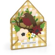Box Card Envelope Robin