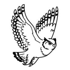 Horned Owl in Flight