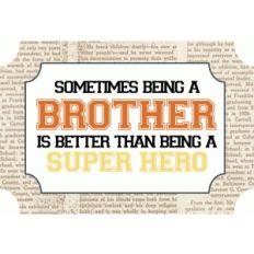 echo park brother and superhero