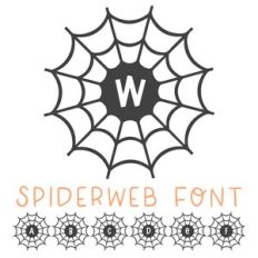 Spiderweb Font Monogram