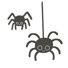 Spiders