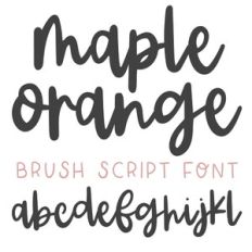 BFC Maple Orange Brush Script Font