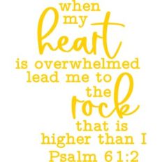 when my heart is overwhelmed