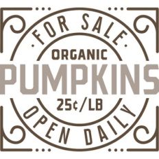 for sale pumpkins