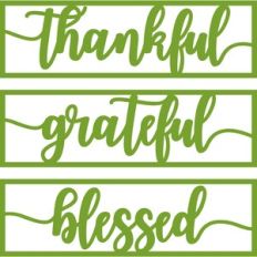 thankful grateful blessed