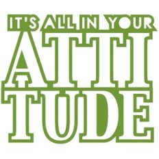 Attitude