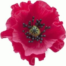 poppy
