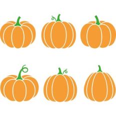 Pumpkin Bundle