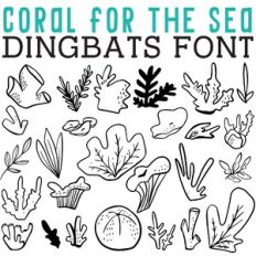 CG Coral for the Sea Dingbats
