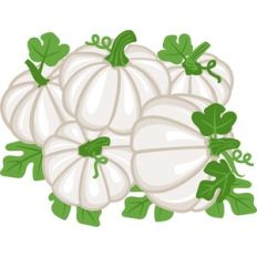 group of pumpkins
