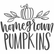Homegrown Pumpkins