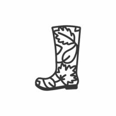 Rainboot