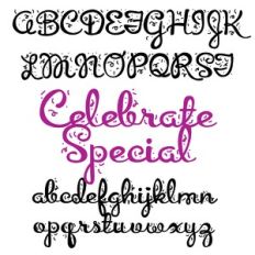 ZP Celebrate Special